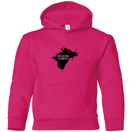 Sweatshirts Heliconia / YS Splinter is Coming Youth Hoodie