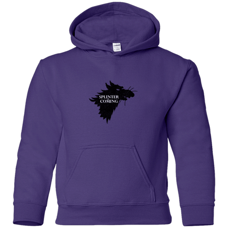 Sweatshirts Purple / YS Splinter is Coming Youth Hoodie
