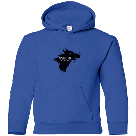 Sweatshirts Royal / YS Splinter is Coming Youth Hoodie