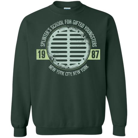 Sweatshirts Forest Green / Small Splinters School Crewneck Sweatshirt