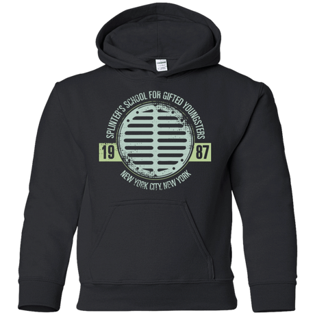 Sweatshirts Black / YS Splinters School Youth Hoodie