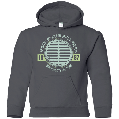 Sweatshirts Charcoal / YS Splinters School Youth Hoodie