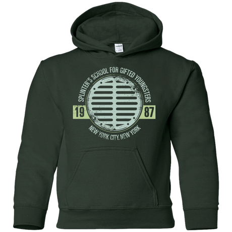 Sweatshirts Forest Green / YS Splinters School Youth Hoodie