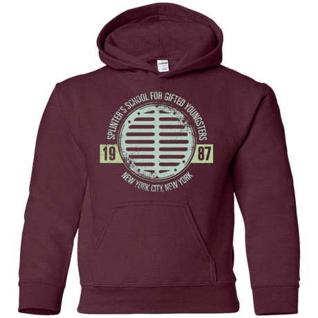 Sweatshirts Maroon / YS Splinters School Youth Hoodie