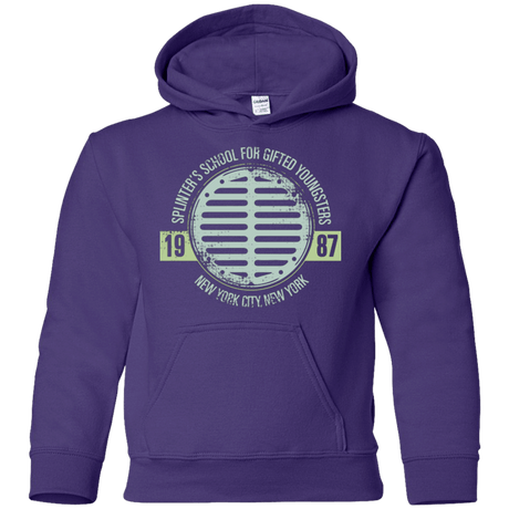 Sweatshirts Purple / YS Splinters School Youth Hoodie