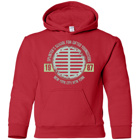 Sweatshirts Red / YS Splinters School Youth Hoodie