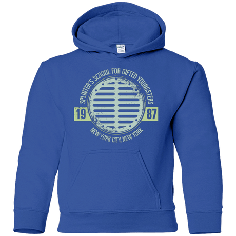 Sweatshirts Royal / YS Splinters School Youth Hoodie