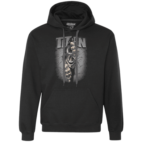 Sweatshirts Black / Small Split Titan Premium Fleece Hoodie