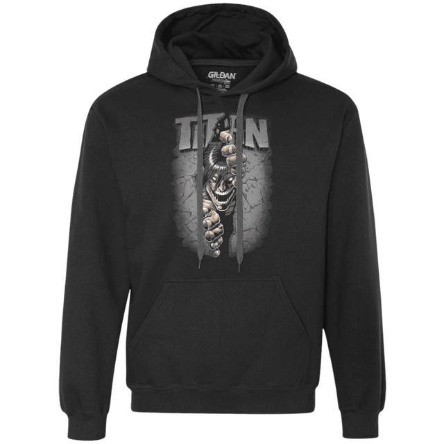 Sweatshirts Black / Small Split Titan Premium Fleece Hoodie