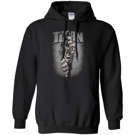 Sweatshirts Black / Small Split Titan Pullover Hoodie