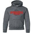 Sweatshirts Dark Heather / YS SPN Things Youth Hoodie