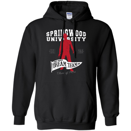 Sweatshirts Black / Small Springwood University Pullover Hoodie