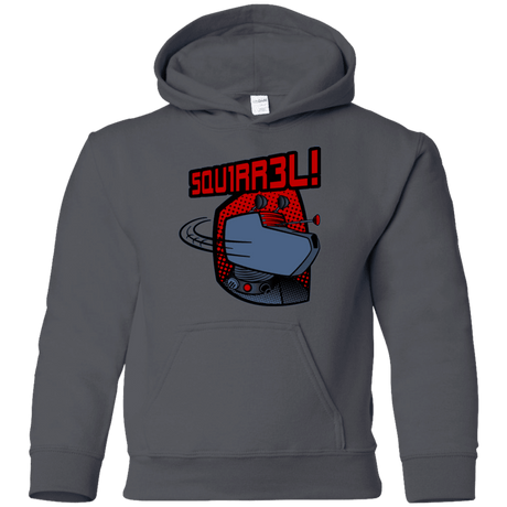 Sweatshirts Charcoal / YS Squirrel Youth Hoodie