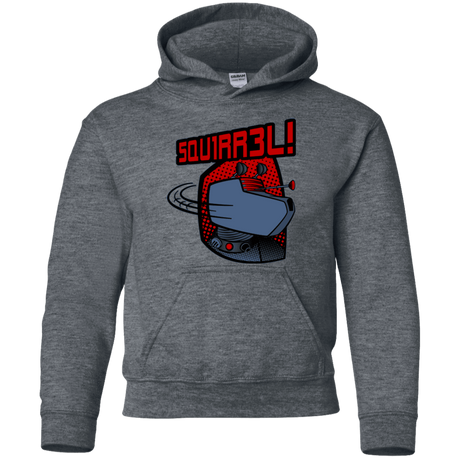 Sweatshirts Dark Heather / YS Squirrel Youth Hoodie