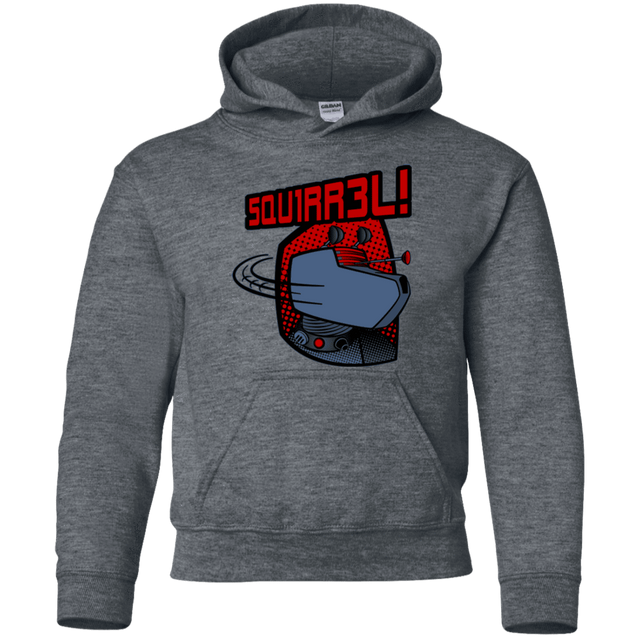 Sweatshirts Dark Heather / YS Squirrel Youth Hoodie