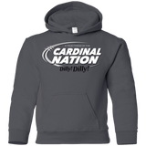 Sweatshirts Charcoal / YS Stanford Dilly Dilly Youth Hoodie