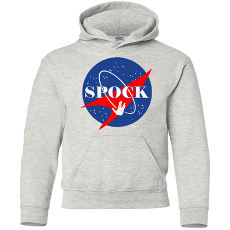 Sweatshirts Ash / YS Star captain Youth Hoodie