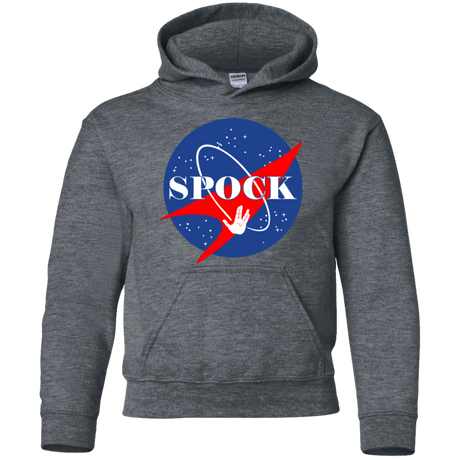 Sweatshirts Dark Heather / YS Star captain Youth Hoodie