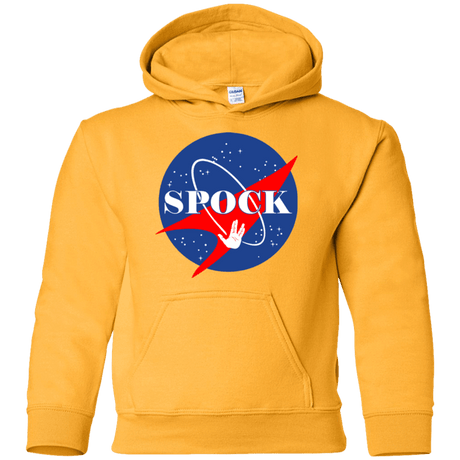 Sweatshirts Gold / YS Star captain Youth Hoodie