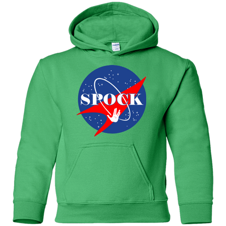 Sweatshirts Irish Green / YS Star captain Youth Hoodie