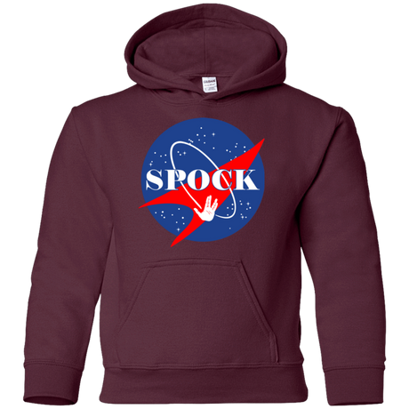 Sweatshirts Maroon / YS Star captain Youth Hoodie