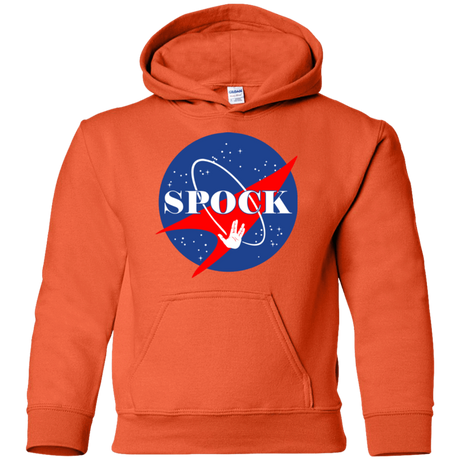 Sweatshirts Orange / YS Star captain Youth Hoodie