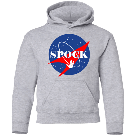 Sweatshirts Sport Grey / YS Star captain Youth Hoodie