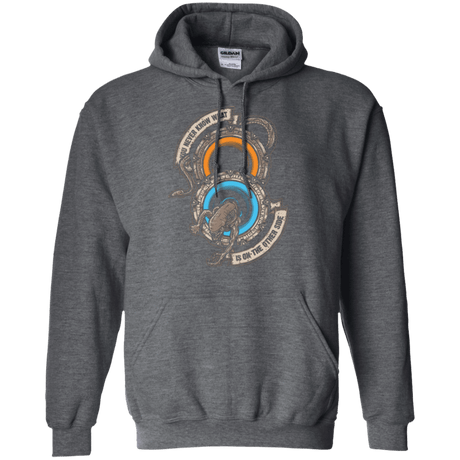 Sweatshirts Dark Heather / Small STAR PORTALS Pullover Hoodie