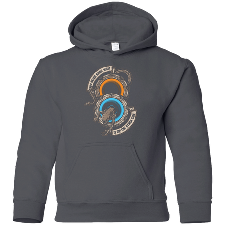 Sweatshirts Charcoal / YS STAR PORTALS Youth Hoodie