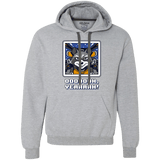 Sweatshirts Sport Grey / Small Star Raccoon Premium Fleece Hoodie