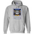 Sweatshirts Sport Grey / Small Star Raccoon Pullover Hoodie