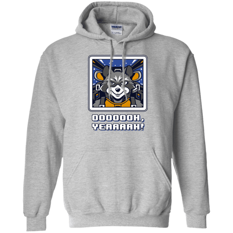 Sweatshirts Sport Grey / Small Star Raccoon Pullover Hoodie