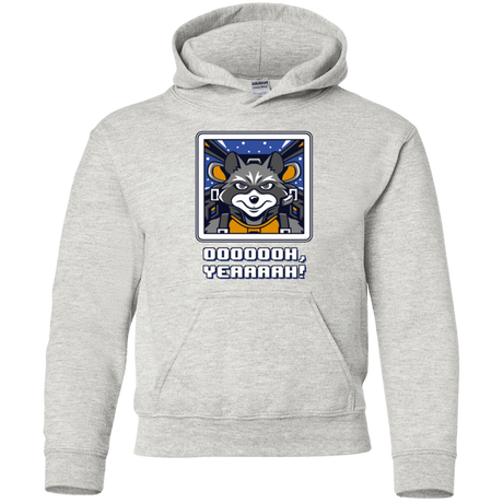 Sweatshirts Ash / YS Star Raccoon Youth Hoodie