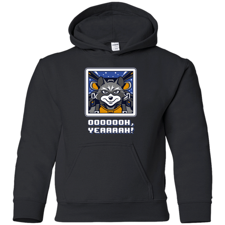 Sweatshirts Black / YS Star Raccoon Youth Hoodie