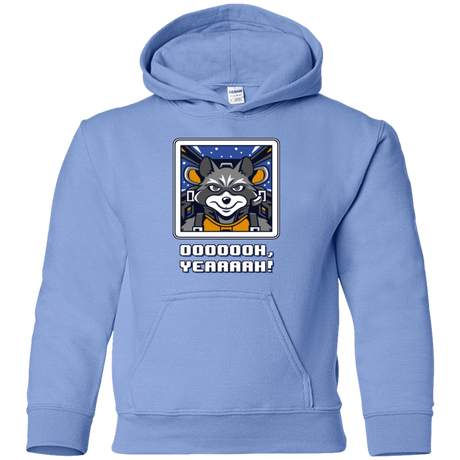 Sweatshirts Carolina Blue / YS Star Raccoon Youth Hoodie