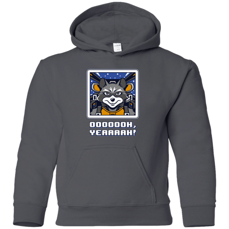 Sweatshirts Charcoal / YS Star Raccoon Youth Hoodie