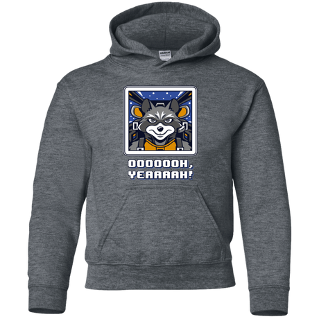 Sweatshirts Dark Heather / YS Star Raccoon Youth Hoodie