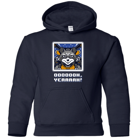 Sweatshirts Navy / YS Star Raccoon Youth Hoodie