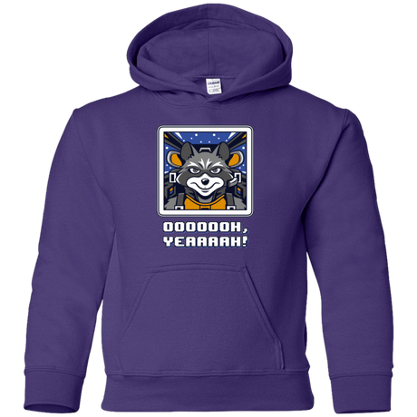 Sweatshirts Purple / YS Star Raccoon Youth Hoodie