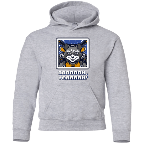 Sweatshirts Sport Grey / YS Star Raccoon Youth Hoodie