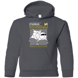 Sweatshirts Charcoal / YS Starbug Service And Repair Manual Youth Hoodie