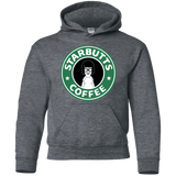 Sweatshirts Dark Heather / YS Starbutts Youth Hoodie