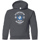 Sweatshirts Charcoal / YS Starfighter Academy 15 Youth Hoodie