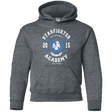 Sweatshirts Dark Heather / YS Starfighter Academy 15 Youth Hoodie