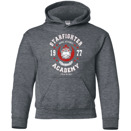 Sweatshirts Dark Heather / YS Starfighter Academy 77 Youth Hoodie