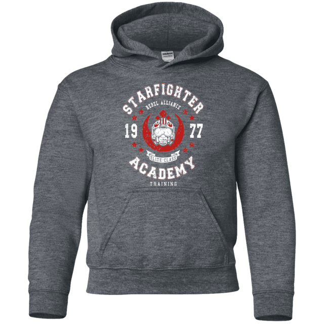 Sweatshirts Dark Heather / YS Starfighter Academy 77 Youth Hoodie
