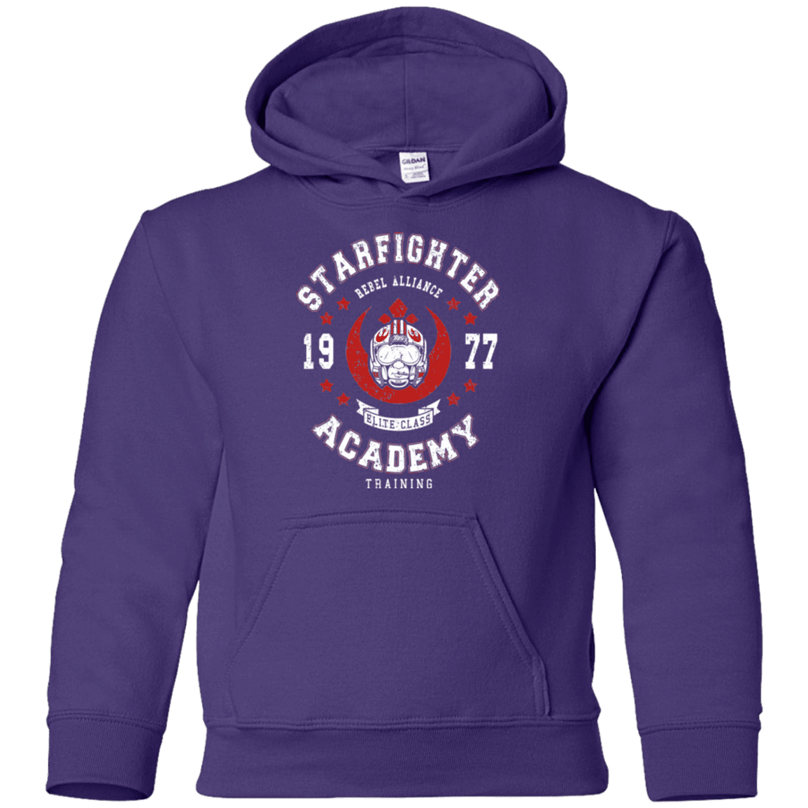 Sweatshirts Purple / YS Starfighter Academy 77 Youth Hoodie