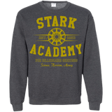 Sweatshirts Dark Heather / Small Stark Academy Crewneck Sweatshirt