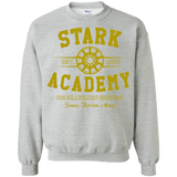 Sweatshirts Sport Grey / Small Stark Academy Crewneck Sweatshirt
