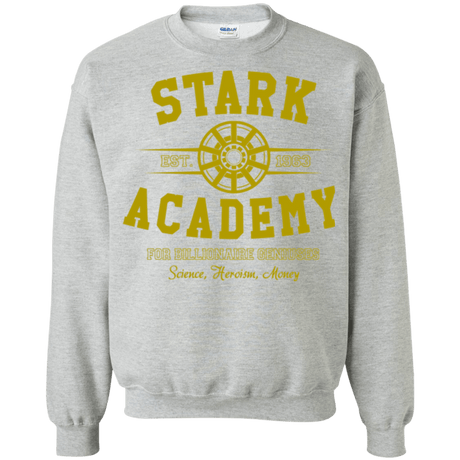 Sweatshirts Sport Grey / Small Stark Academy Crewneck Sweatshirt